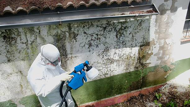 Trusted Crawl Space Mold Removal service in Hyde Park, PA - Cheap Mold Removal